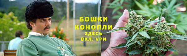 spice Гусев