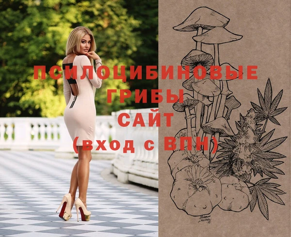 spice Гусев