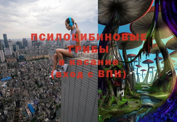 MESCALINE Гусь-Хрустальный