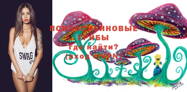spice Гусев
