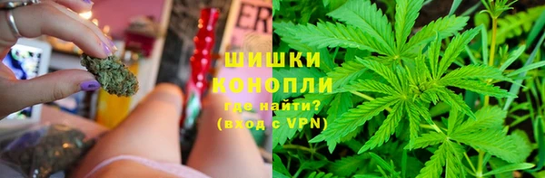 эйфоретик Гусиноозёрск