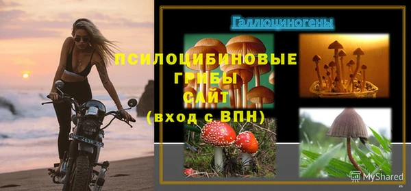 MESCALINE Гусь-Хрустальный