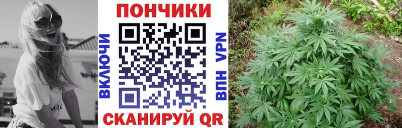 наркошоп  Копейск  Бошки Шишки White Widow 